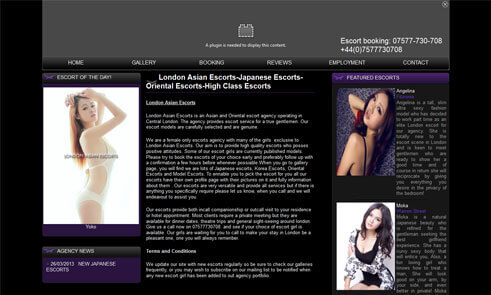 Our client portfolio 11