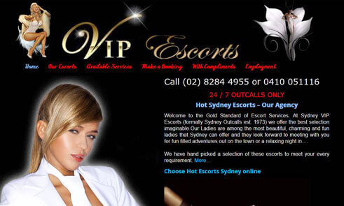 Our client portfolio 13
